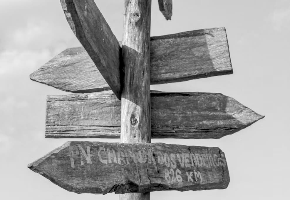Direction sign in forest