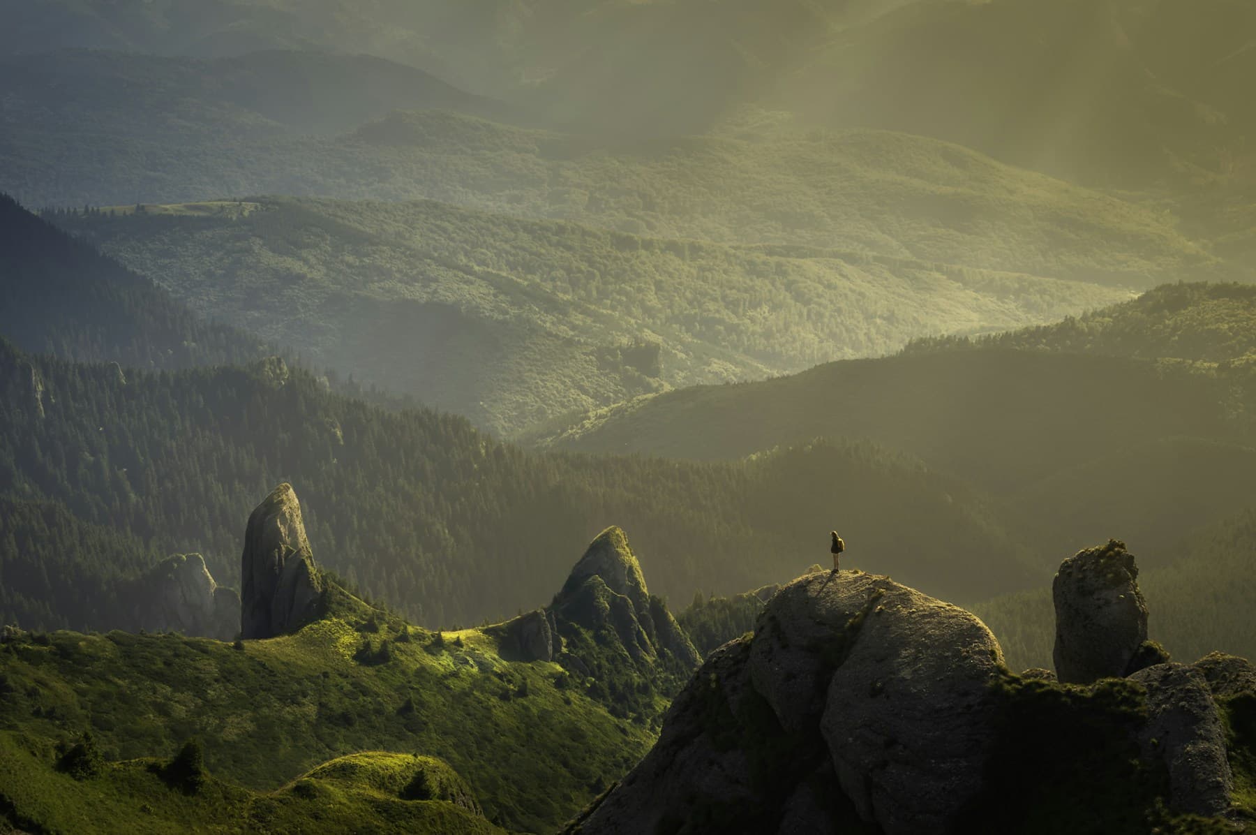 Path leading through golden landscape toward light