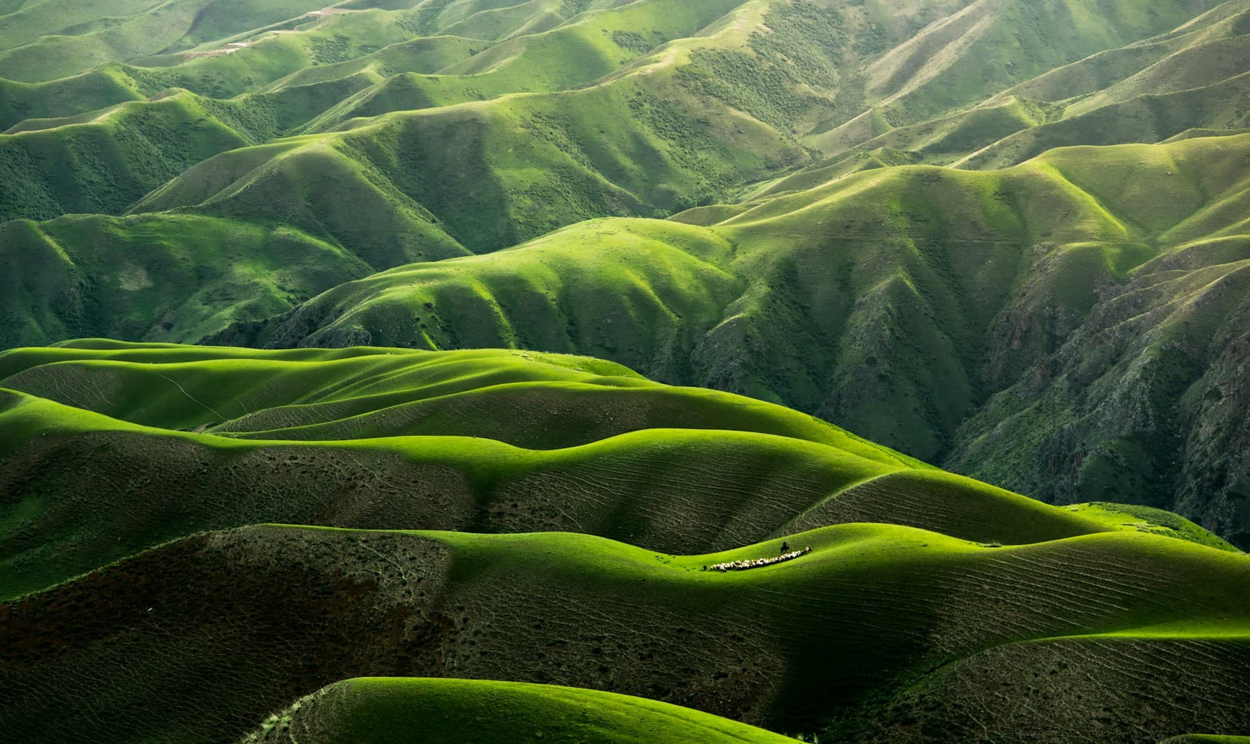 Wide open landscape